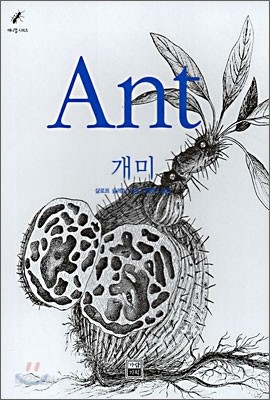 개미 Ant