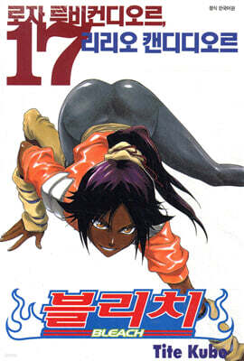 블리치 BLEACH 17
