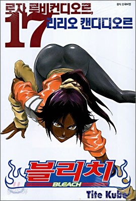 블리치 BLEACH 17