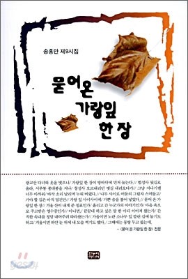 묻어온 가랑잎 한 장