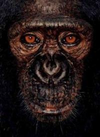 James &amp; Other Apes (Hardcover)