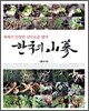 한국의 산삼