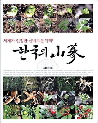 한국의 산삼