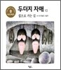 집으로 가는 길