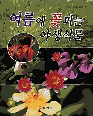 여름에 꽃피는 야생식물