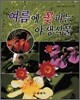 여름에 꽃피는 야생식물