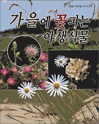 가을에 꽃피는 야생식물