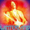 Jimi Hendrix Experience (지미 헨드릭스 익스피리언스) - Winterland [LP]