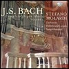 Stefano Molardi 바흐: 오르간 작품집 3권 (J.S. Bach: Complete Organ Music Vol.3)