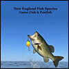 New England Game Fish and Panfish Species Kids Book: Great Book About the Different Types of Fish in New England