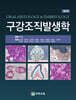 구강조직발생학
