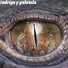 Rodrigo y Gabriela (로드리고 이 가브리엘라) - Rodrigo y Gabriela [컬러 2LP]