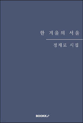 한 겨울의 서울