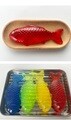 물고기 말랑이