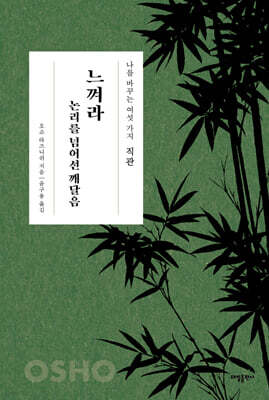 직관 : 느껴라 논리를 넘어선 깨달음
