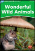 Dolphin Readers Level 3: Wonderful Wild Animals