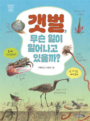 갯벌, 무슨 일이 일어나고 있을까?