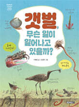 갯벌, 무슨 일이 일어나고 있을까?