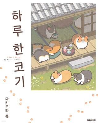 하루 한 코기