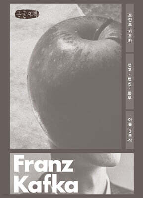 선고·변신·화부 (큰글자책)