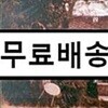 四月의 피아노 (4월 이야기) OST