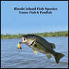 Rhode Island Game Fish and Panfish Species Kids Book: Great Book About the Different Types of Fish in Rhode Island