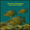 Delaware Game Fish and Panfish Species Kids Book: Great Book About the Different Types of Fish in Delaware