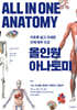 올인원 아나토미