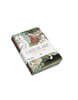 Cats in Art: Set of 3 A6 Notebooks