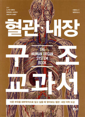 혈관 내장 구조 교과서
