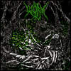 Worm - Gloomlord (Ltd)(Colored LP)