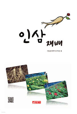 인삼재배