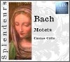 Bach : Motet : Cantus Colln