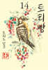토리빵 14