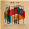 Gabriel Kahane - Elevator Songs (LP)