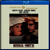 Reversal Of Fortune (행운의 반전) (1990)(한글무자막)(Blu-ray)