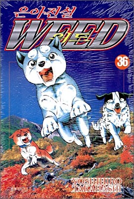 은아전설 WEED 위드 36