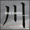 David Sanborn (데이비드 샌본) - Time And The River [LP]