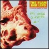 Flaming Lips - This Here Giraffe (Record Store Day Limited Edition)