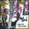 The Used - Shallow Believer [레코드 스토어 데이 한정 블루 컬러 EP]