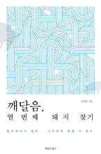 깨달음, 열 번째 돼지 찾기