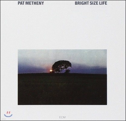 Pat Metheny - Bright Size Life