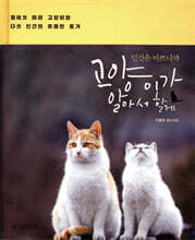 인간은 바쁘니까 고양이가 알아서 할게