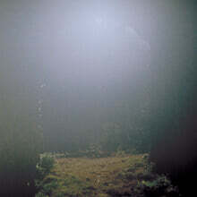 Shin Sasakubo (사사쿠보 신) - Venus Penguin [클리어 컬러 LP]