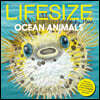 Lifesize Ocean Animals