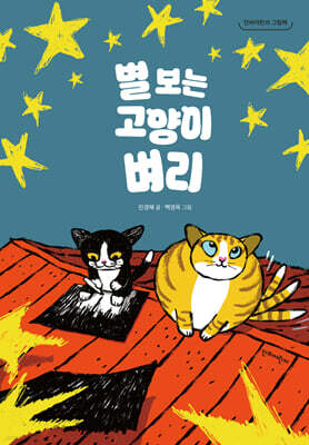 별 보는 고양이 벼리
