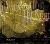 A Silent,within The Roar(初回限定盤)(DVD付)