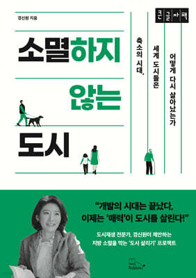소멸하지 않는 도시 (큰글자책)