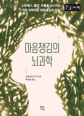 마음챙김의 뇌과학 (큰글자책)