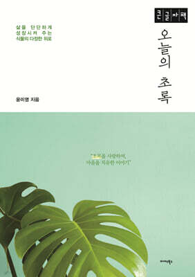 오늘의 초록 (큰글자책)